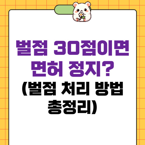벌점 30점이면