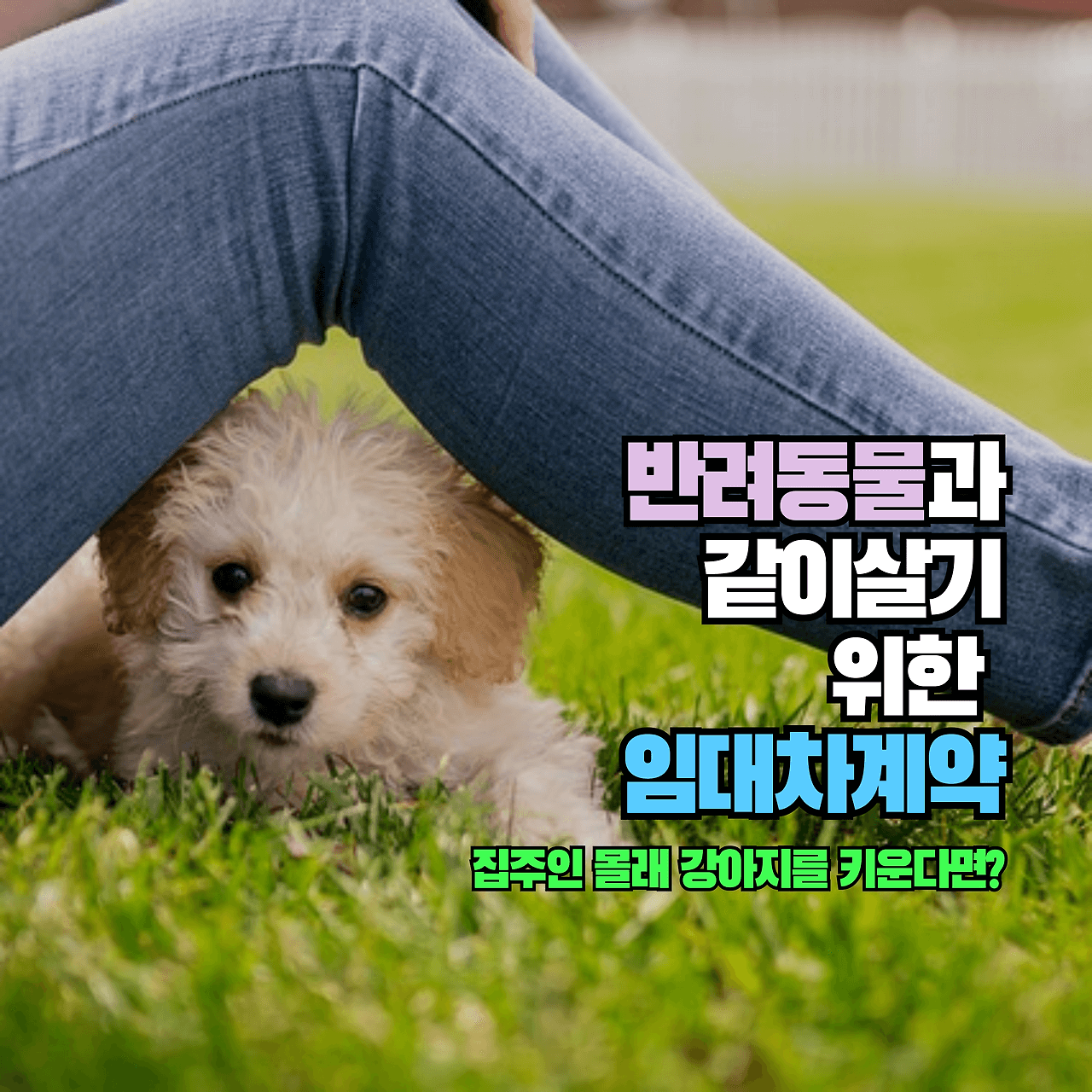 반려동물과 같이 살기 위한 임대차계약