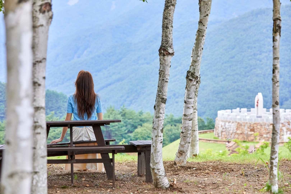 정선 로미지안 가든