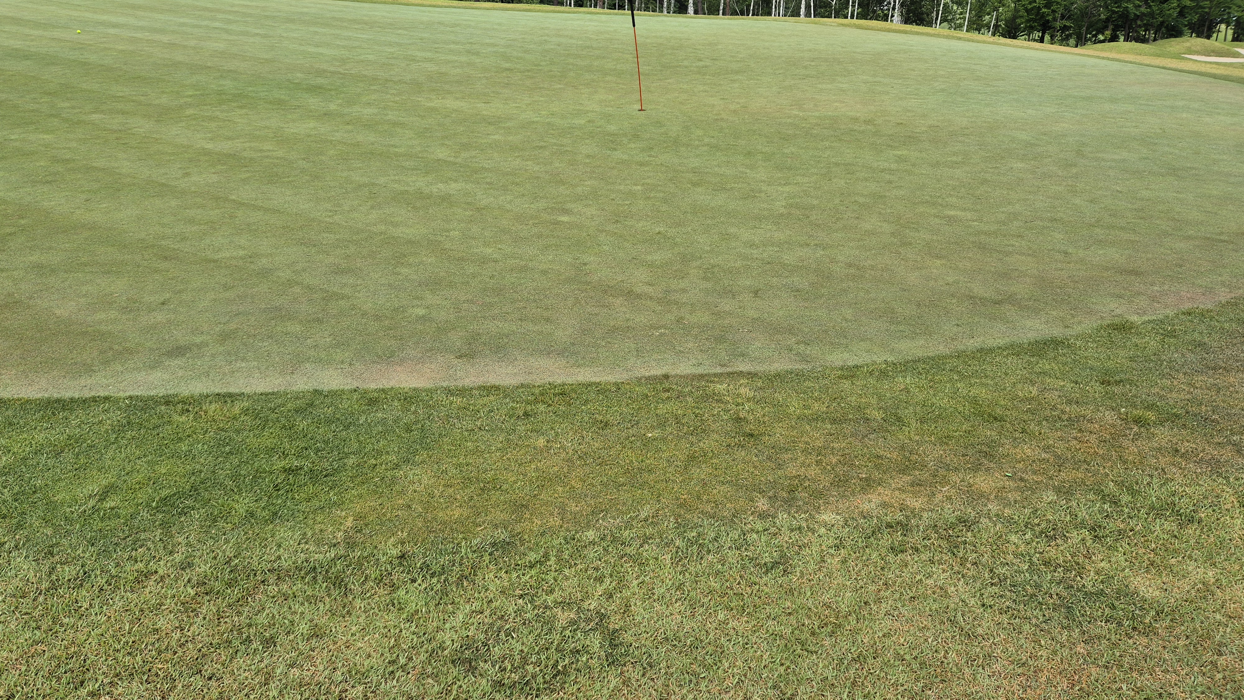 샴발라cc 라운드 후기