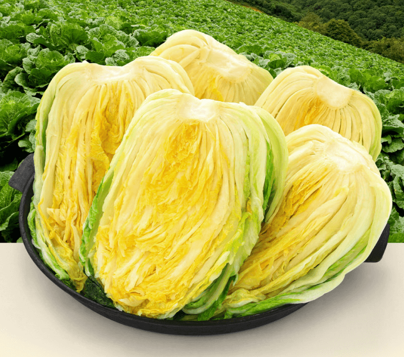 해남 절임배추 20kg 사전예약 가격비교