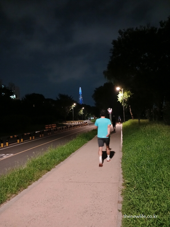 잠실 한강공원 야간 산책로에서 빠르게 걷기 운동 중인 사람들