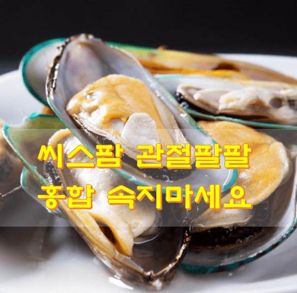 초록입-홍합-사진