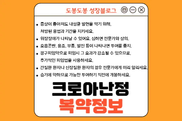 크로아난정 복약 정보 이미지