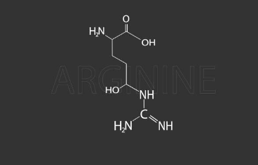 아르기닌 부작용, 아르기닌의 효능, 복용법 총정리 (2025ver)