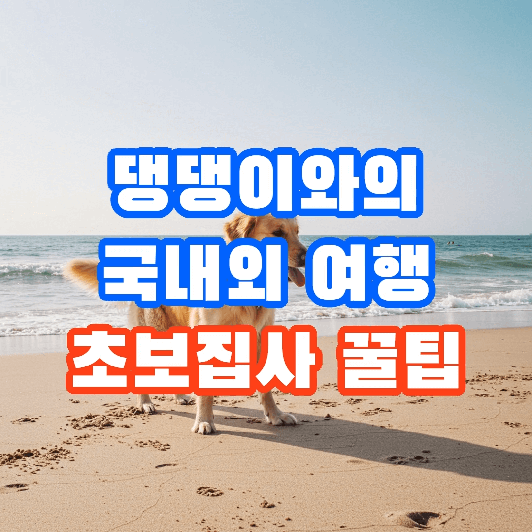 댕댕이와의 국내외 여행, 초보 집사가 알아야 할 여행 꿀팁 7가지!🐶