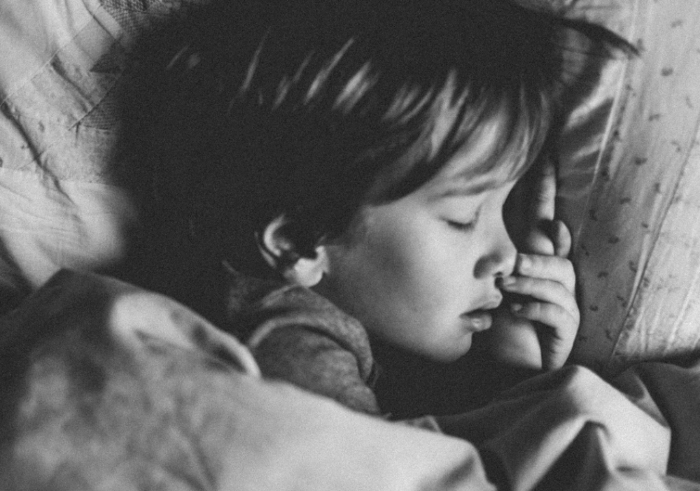 일본뇌염 접종열