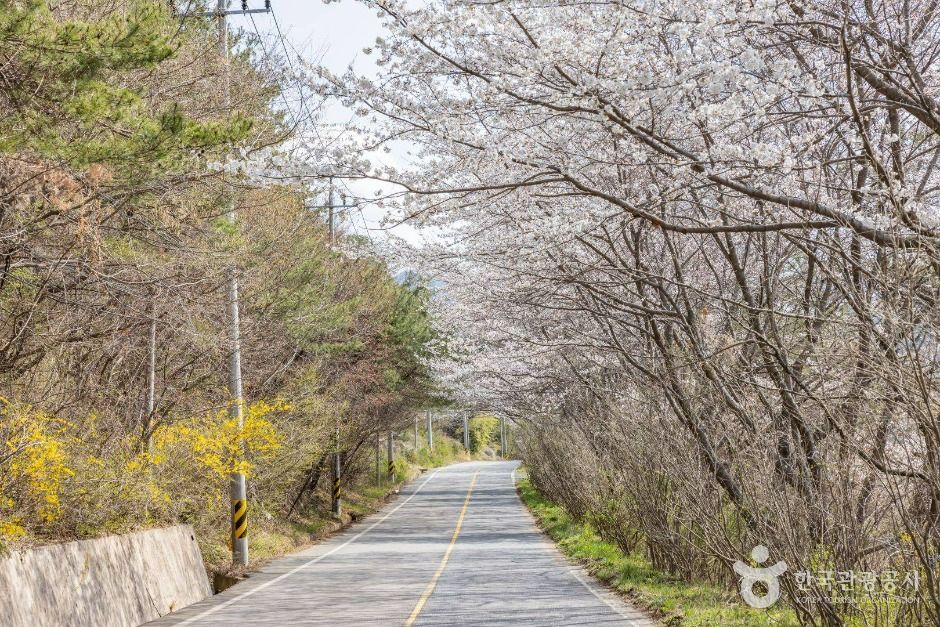 순천 가볼만한곳 베스트10