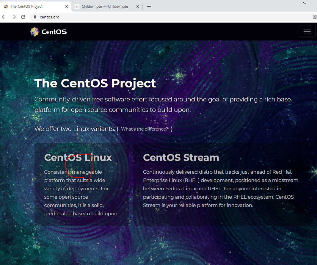 [L18] rpm과 세부적인 패키지 파일 설치 방법_Linux/centOS