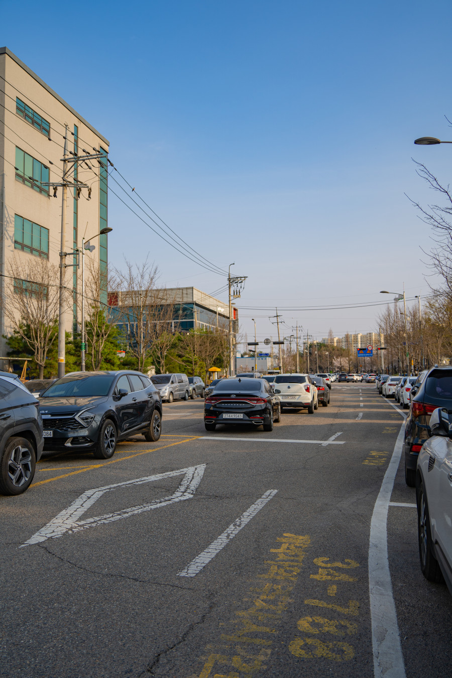 황구지천 벚꽃 주차