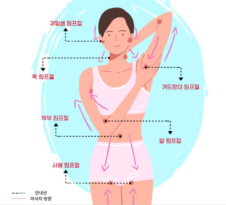 림프절마사자 하는 방법