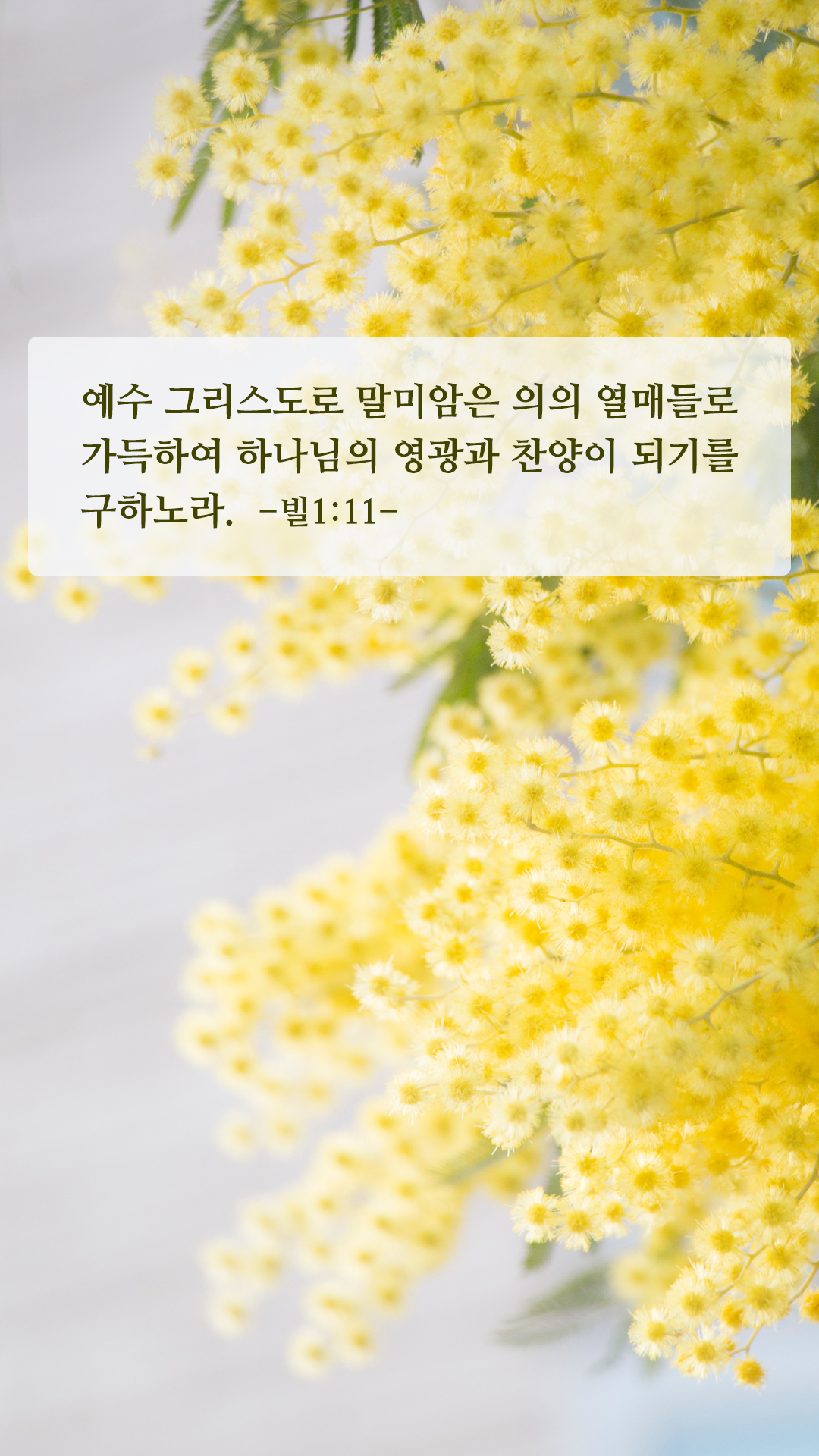 좋은성경구절 배경화면