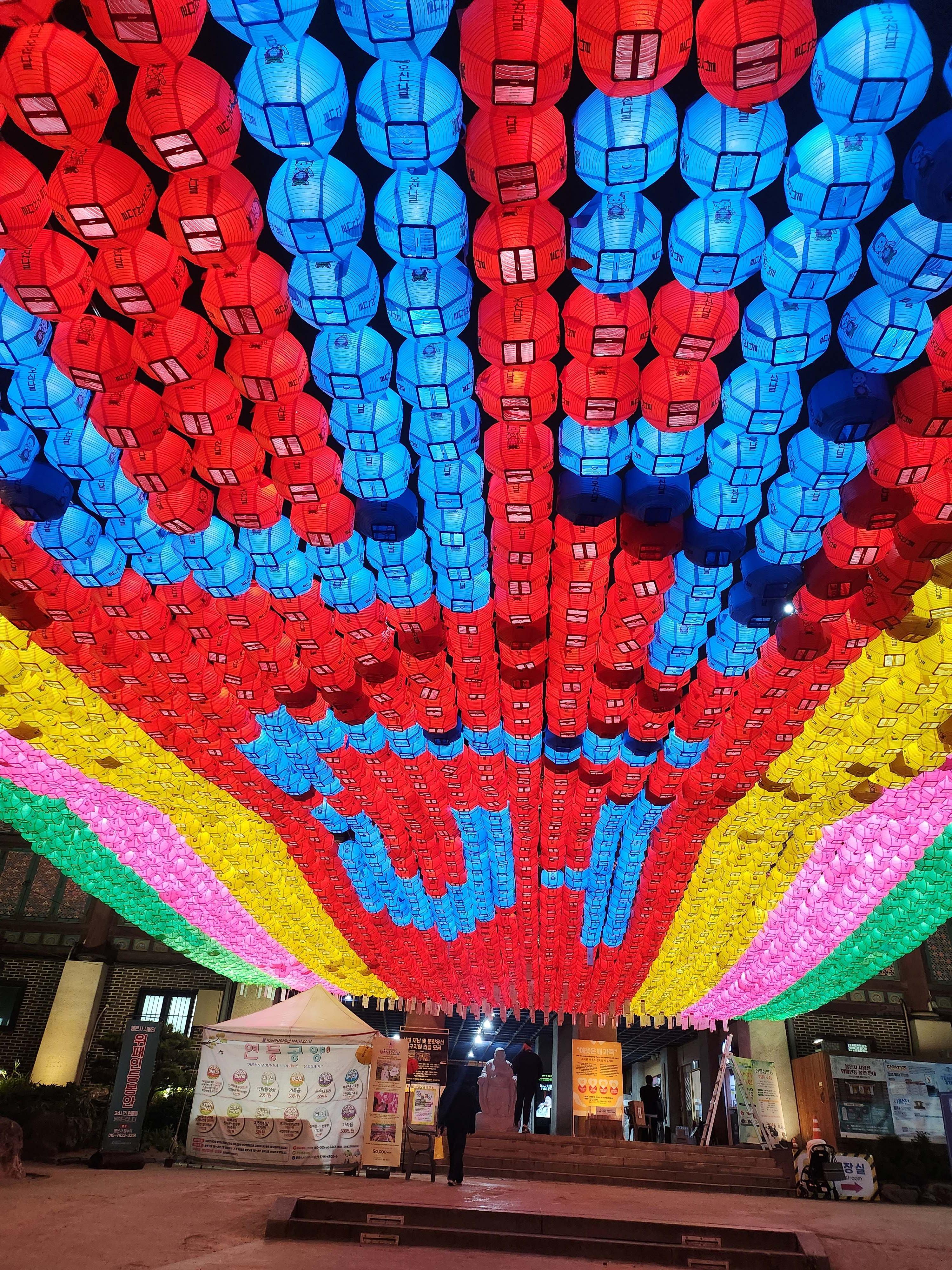 2025. 4. 19. 봉은사 연등제 야경 산책 후기 (겹벚꽃, 라일락, 홍매화 개화상황 포함)