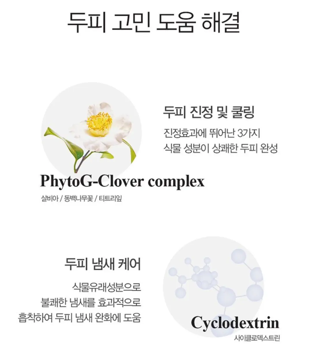 사진6