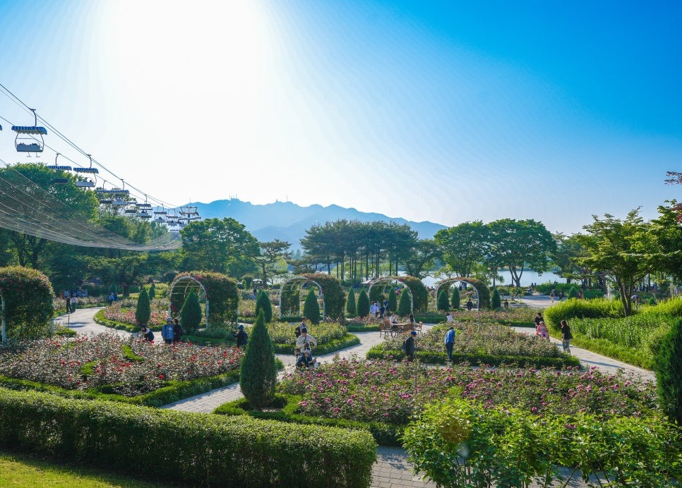 서울대공원 장미축제