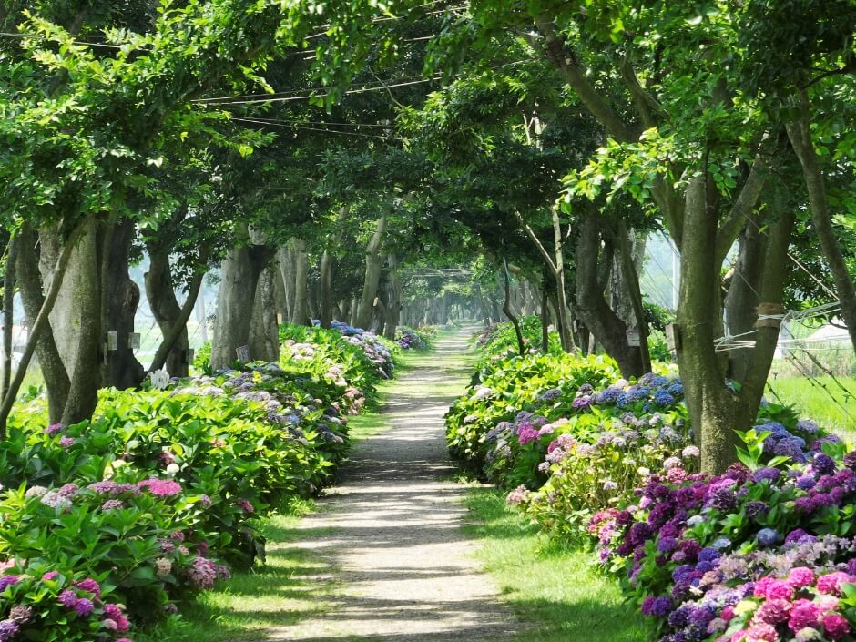 신안 가볼만한곳 베스트 10