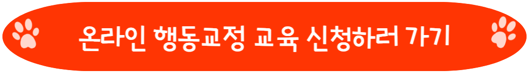 온라인 행동교정 교육 신청하러 가기