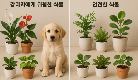 강아지에게 위험한 식물 과 안전식물 사진
