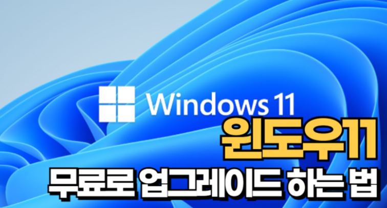 윈도우10에서 윈도우11로 무료 업그레이드하는 방법-정품 유지 꿀팁