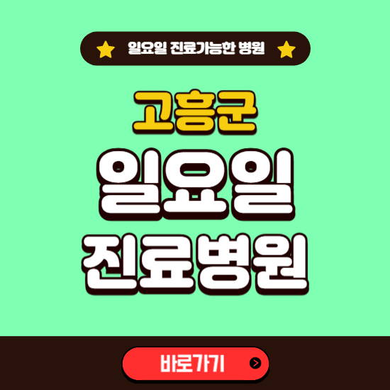 고흥군 일요일 진료 가능한 병원 ❘ 주말 문여는 곳 총정리 (소아과, 내과, 안과, 치과, 피부과, 정형외과, 산부인과)