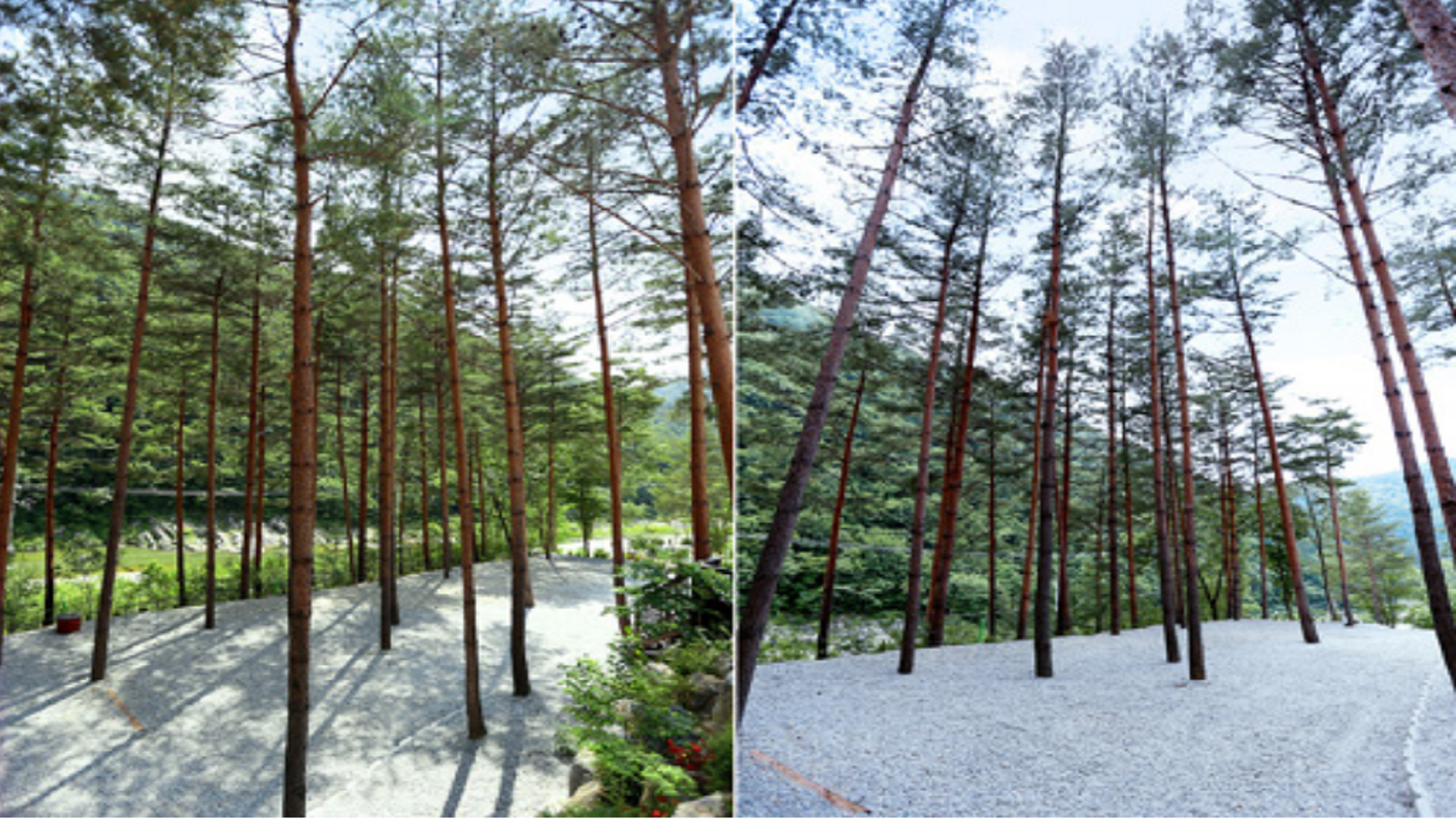 강릉시 물내치기 캠핑장 바로가기