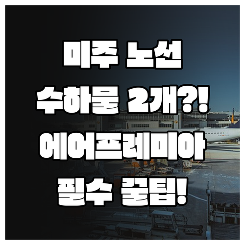 미주 노선 에어프레미아 위탁수하물 2..