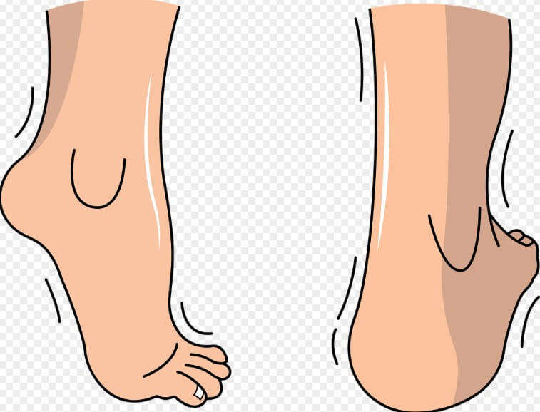 걸을 때 발 뒤꿈치의 모습
