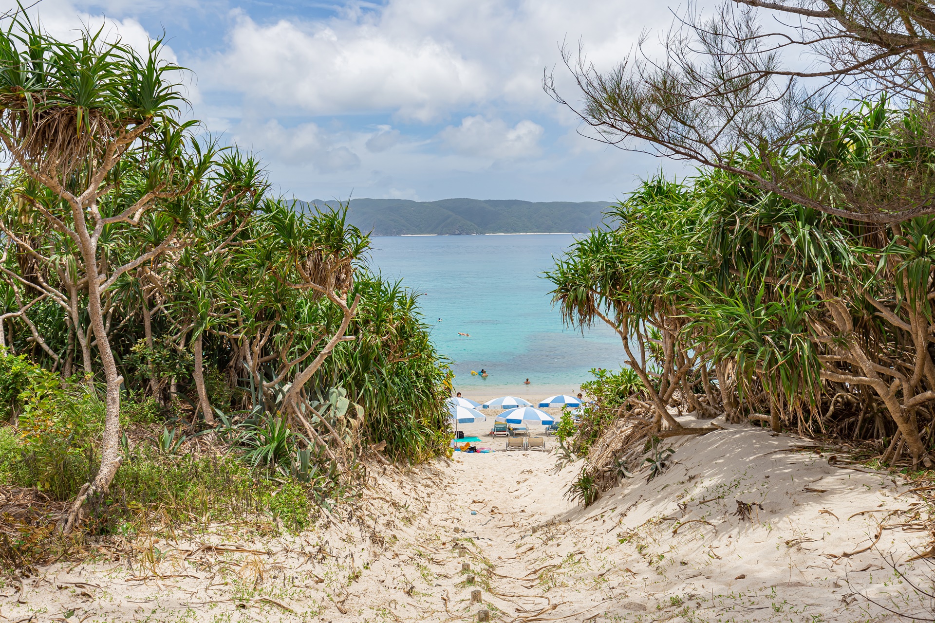 #게라마제도 #미슐랭그린가이드 #오키나와 #오키나와바다 #오키나와여행 #오키나와해변 #자마미섬 #후루자마미 #후루자마미비치 #후루자마미해변