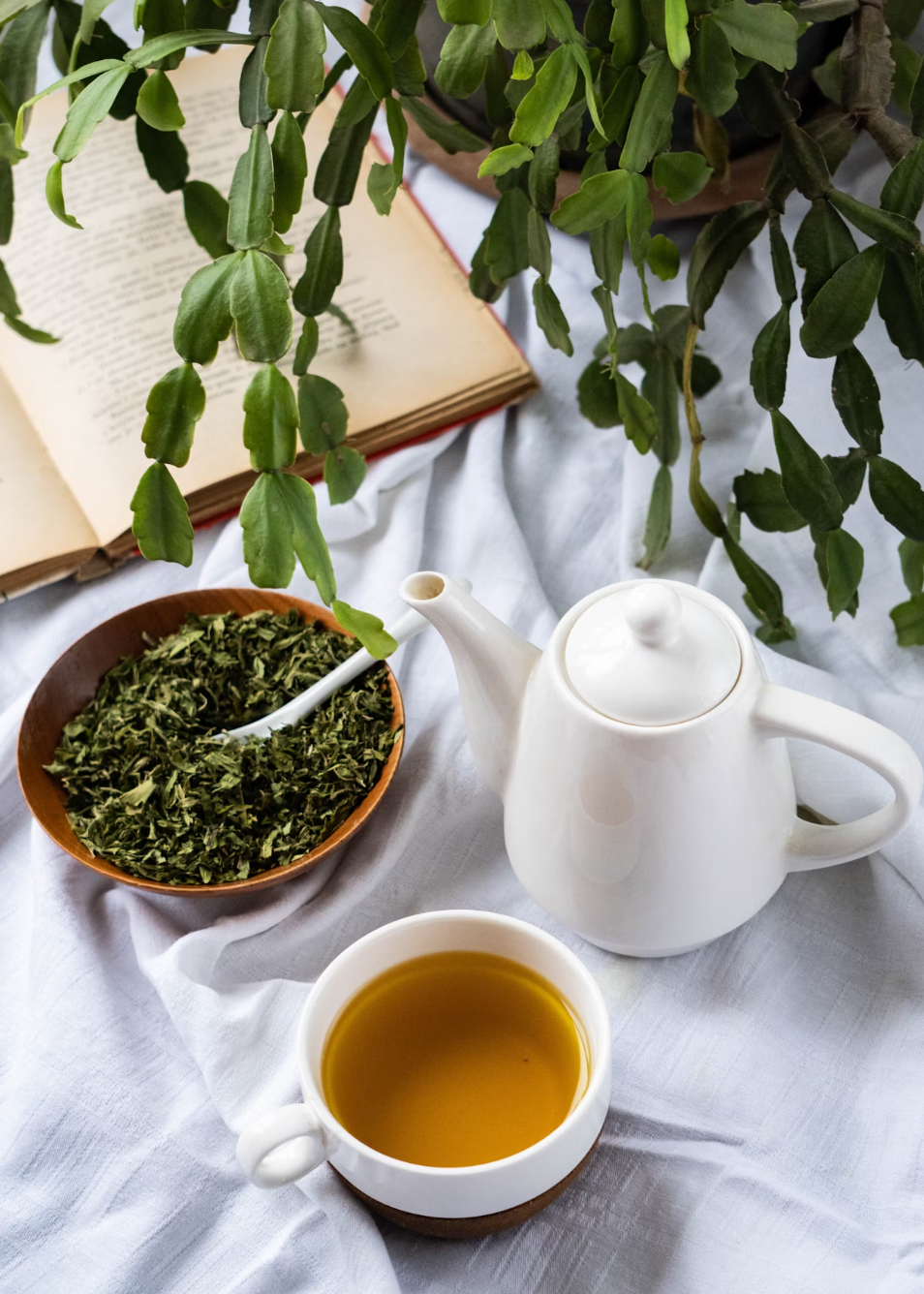 콜레스테롤 낮추는 음식 BEST 7 혈관 건강 지켜주는 습관