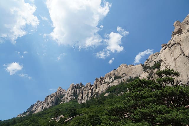 태백 눈꽃열차여행