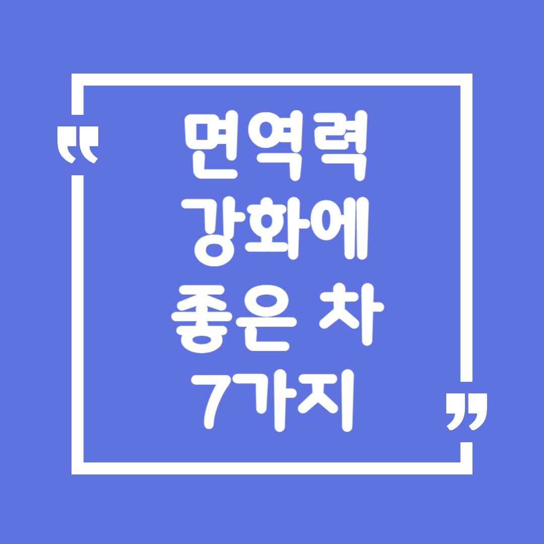 다이어트에 좋은 간식 7가지 – 먹어도 살 안 찌는 건강 간식 추천!