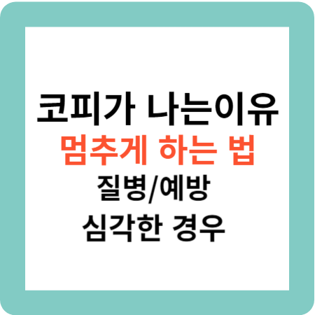 코피가 나는 이유와 질병 멈추게 하는 법 그리고 추가 정보
