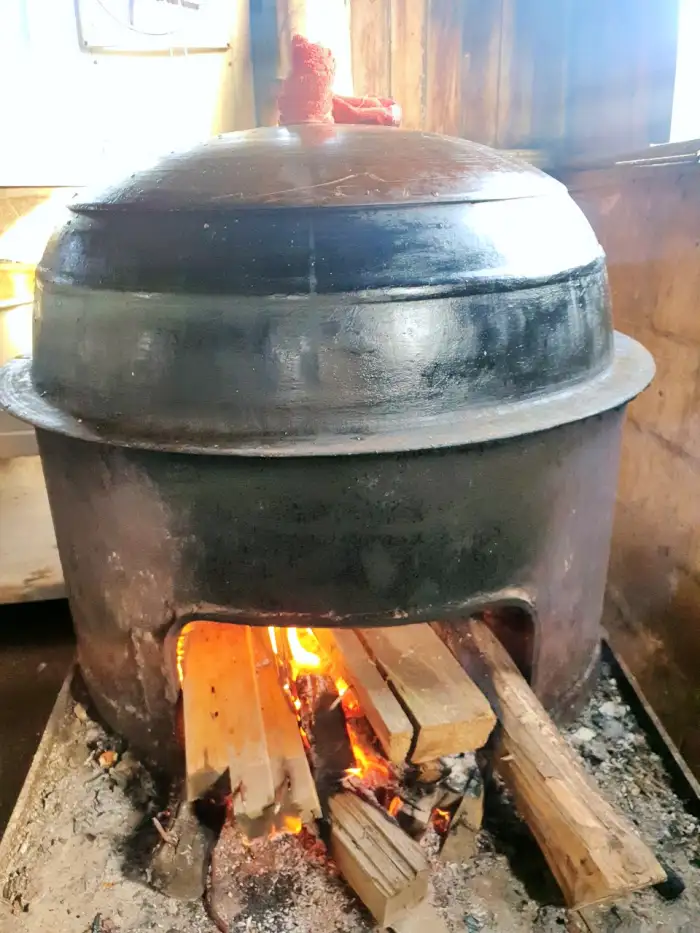 생방송 투데이 경남 남해 느타리버섯전골 느타리찜닭 느타리강정 맛집