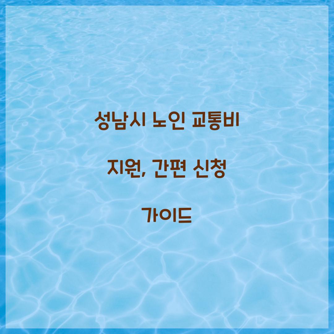 성남시 노인 교통비 지원