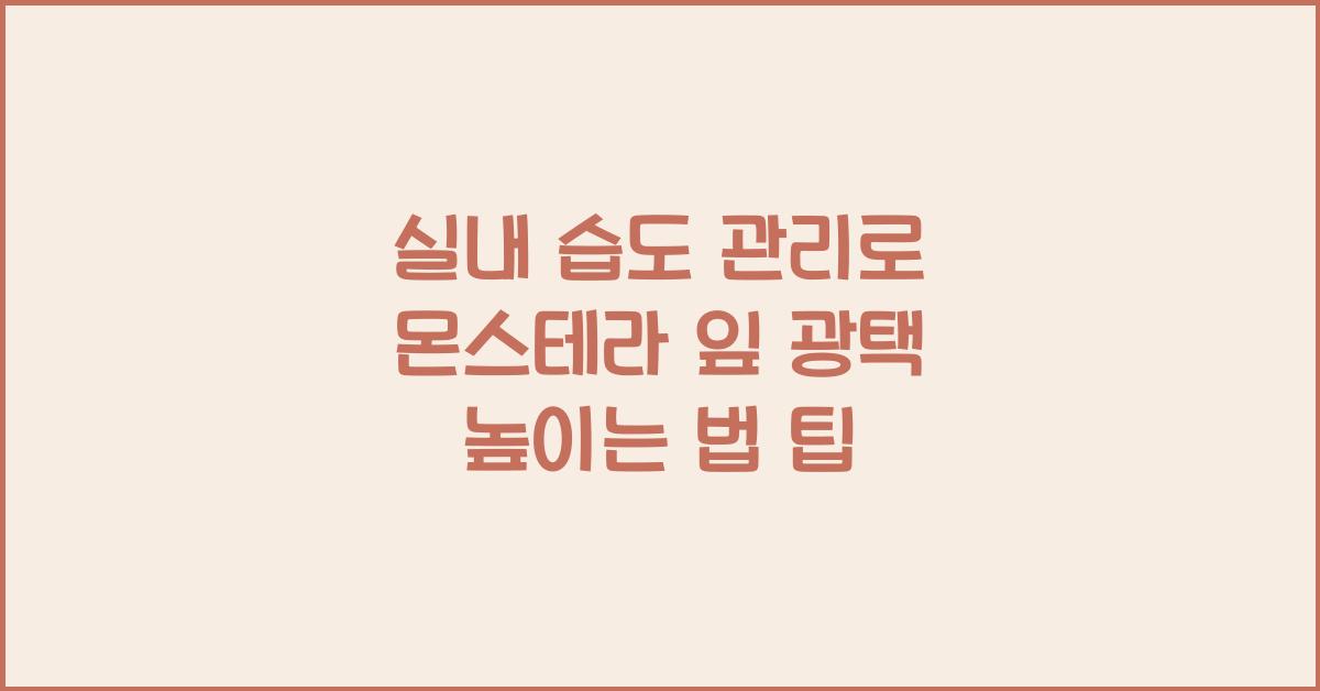 실내 습도 관리로 몬스테라 잎 광택 높이는 법