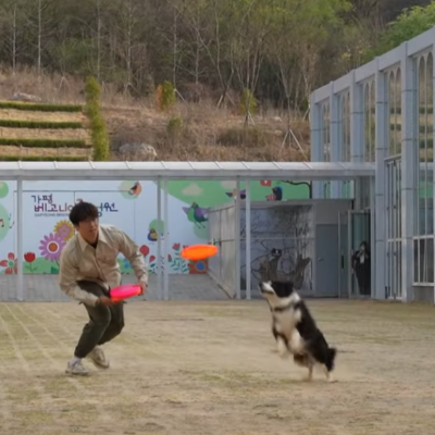 가평 베니아새정원