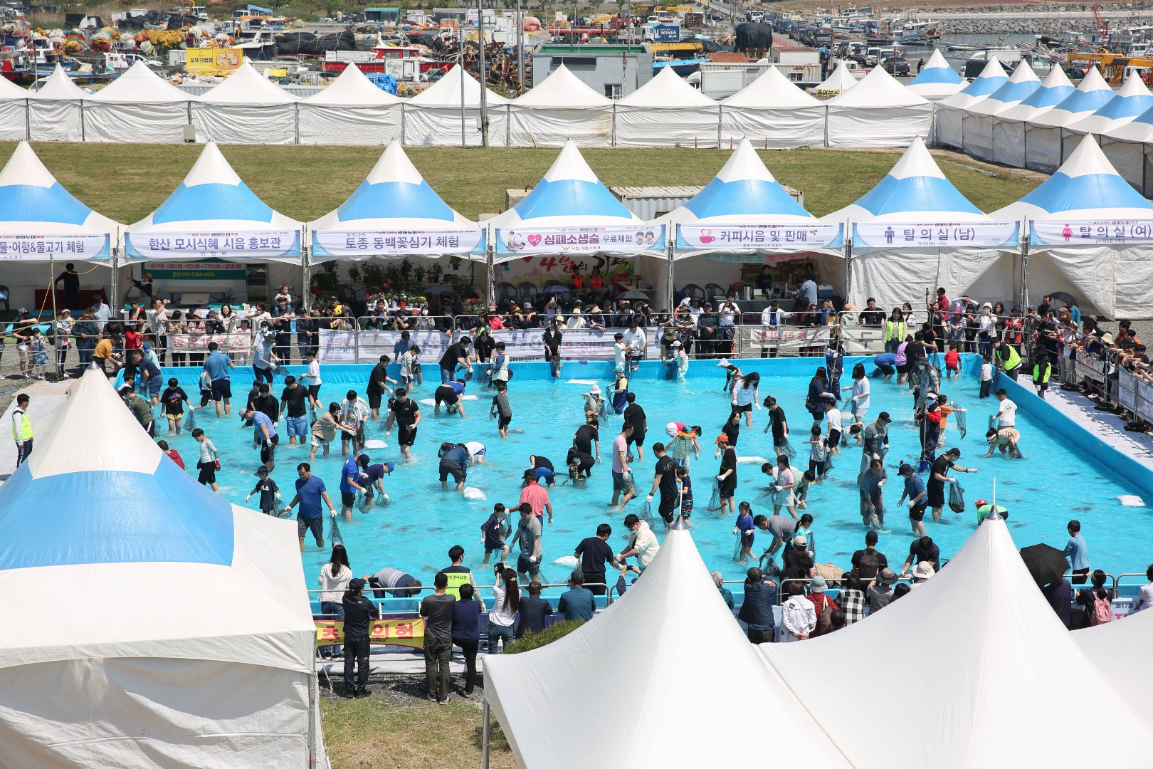 2025 서천 자연산 광어 도미 축제