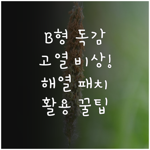 B형 독감 고열 완화 해열 패치 보조..