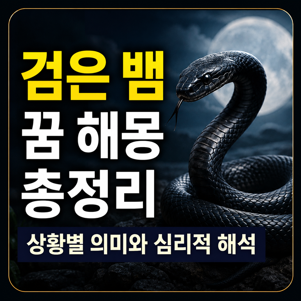 검은 뱀 꿈