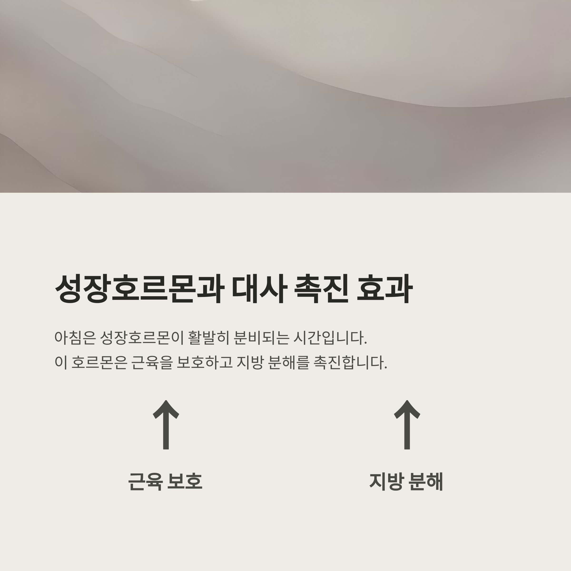 성장호르몬 분비와 대사 촉진