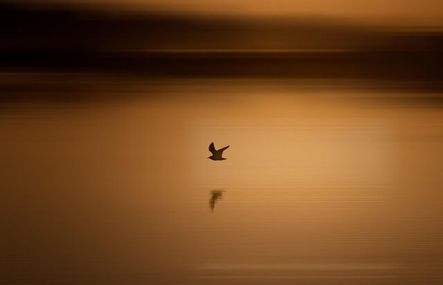공복 유산소 운동 효과, 진짜 체지방이 빠질까?