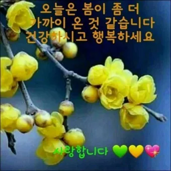 봄 이미지 일러스트 따뜻한 봄 꽃 예쁜 이미지_23