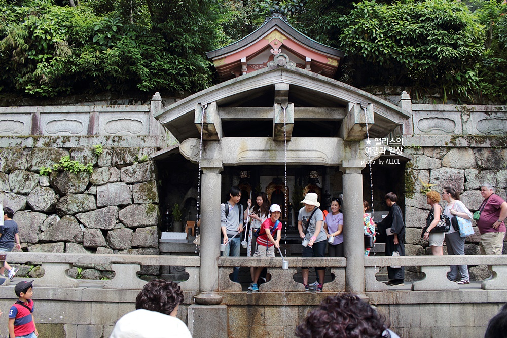 일본 여행, 교토 버스투어 현대카드 × kkday 일본여행 30% 할인