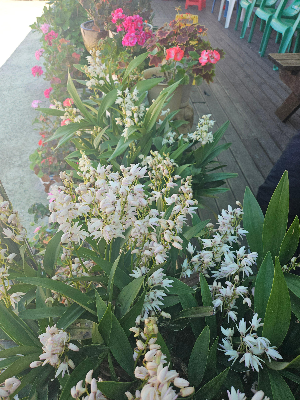 4인 가족 외벌이, 월급날이 무서웠던 주부 통장 쪼개기로 숨통 트인 사연
