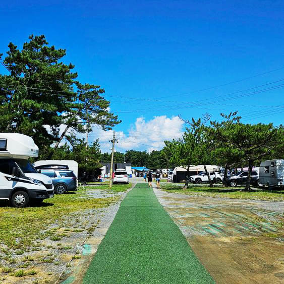 태안군 몽산포오션캠핑장 소개