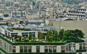 건물 위의 숲 – 옥상정원과 벽면녹화의 생태 혁명