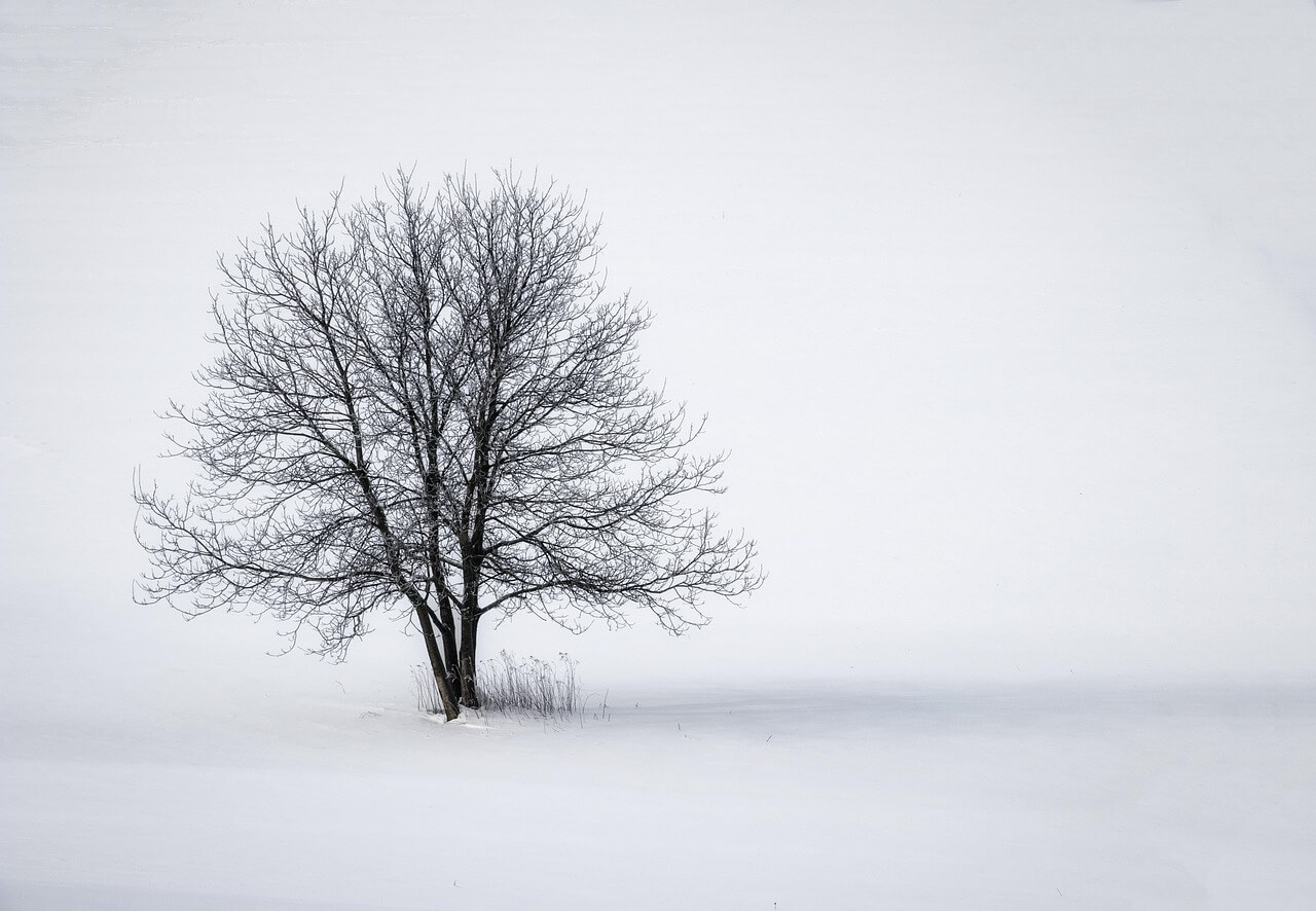 고독한 시간이 뇌에 주는 선물 포스터