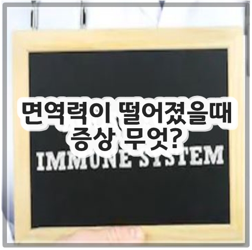 면역력이 떨어졌을때 증상 무엇?