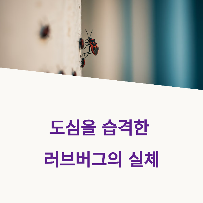 러브버그 떼