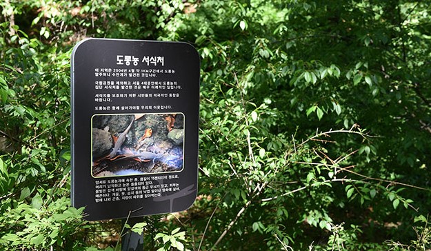 백사실계곡